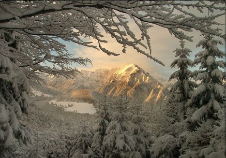 Neige 
