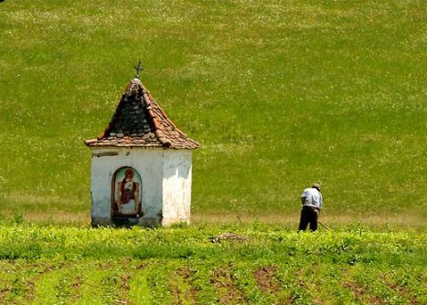 Chapelle champtre (troita) 