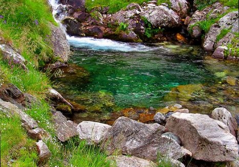 Torrent 